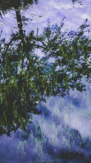 怀孕初期吃哈密瓜好不好截图3